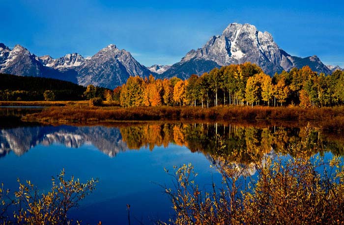 Oxbow Bend in the Morning at Grand Teton National Park