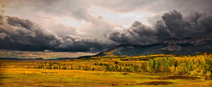 panoramic image of the South Park Area of Colorado with boiling gray clouds and blazing yellow plants in the field in the foreground