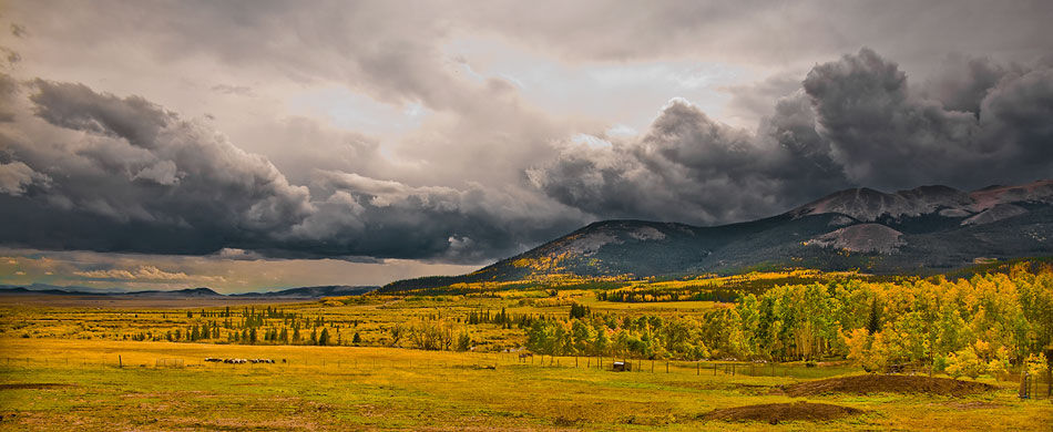panoramic image of the South Park Area of Colorado with boiling gray clouds and blazing yellow plants in the field in the foreground
