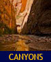 thumbnail of the Virgin River Narrows in the afternoon linking to the Canyons Photo Gallery