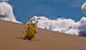 Thumbnail link to Sunflowers at The Great Sand Dunes