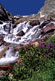 Thumbnail link to Isabelle Glacier Cascade at Indian Peaks Wilderness