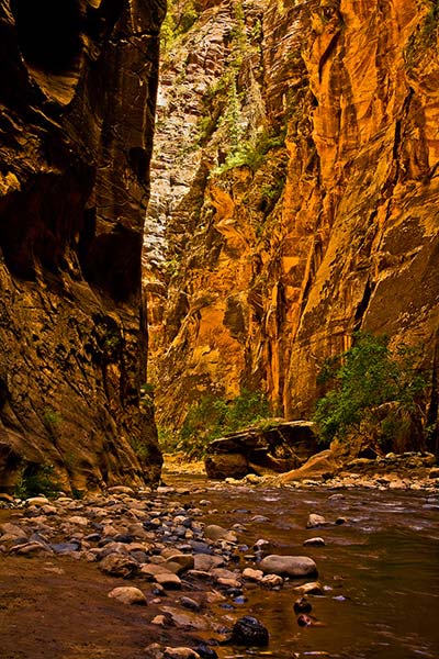 Photo of Virgin River Narrows-2 at Zion National Park photo