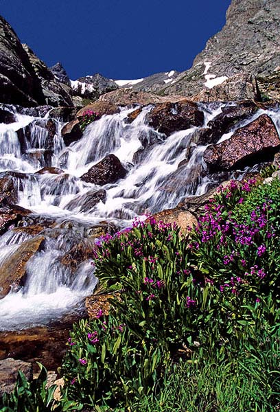 Isabelle Glacier Cascade in Indian Peaks Wilderness Isabelle Glacier Cascade at Indian Peaks Wilderness