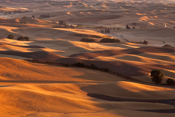 The Palouse in the Fall from Steptoe Butte, Washington Palouse in Fall 2