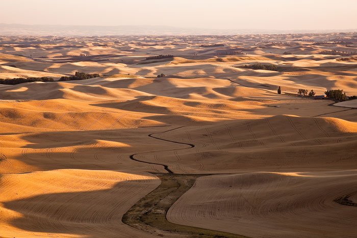 Palouse in Fall from Steptoe Butte Washington