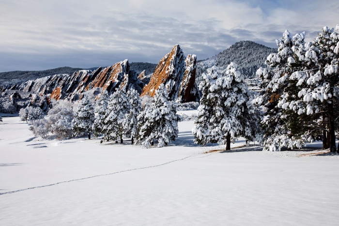Deer Trail in Fresh Snow Roxborough Park