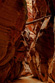 Thumbnail of Buckskin Gulch with log photo