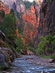 Thumbnail of Virgin River Narrows in the Morning at Zion National Park photo