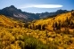 Thumbnail Aspens and Mt Sneffels San Juan Mountains