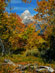 Thumbnail link to Grand Teton