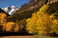 Thumbnail link to Photo of the Road to Yankee Boy Basin Colorado