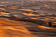 Thumbnail of Palouse in the Fall-2 from Steptoe Butte Washington