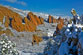 thumbnail of the April Snow in Roxborough