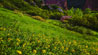 thumbnail of Perse House in the Evening at Roxborough State Park