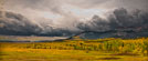 thumbnail of Storm Over South Park